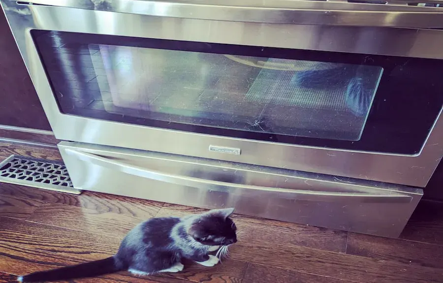 oven-repair-ottawa Gallery